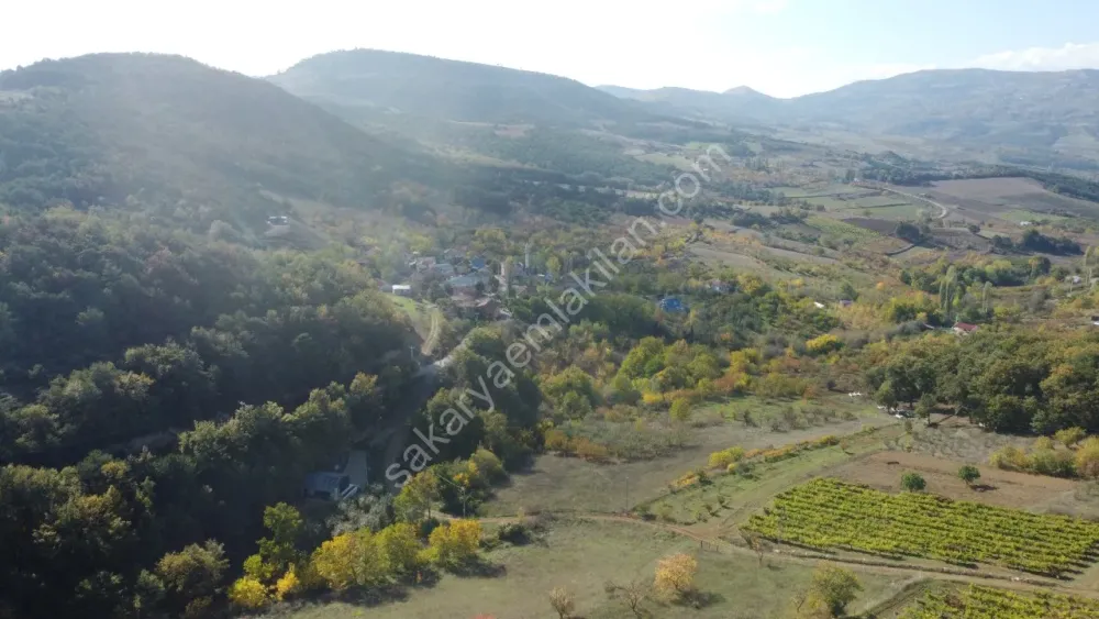 SAKARYA GEYVE GÜNHOŞLAR DA ACİL SATILIK 16 DÖNÜM ARAZİ