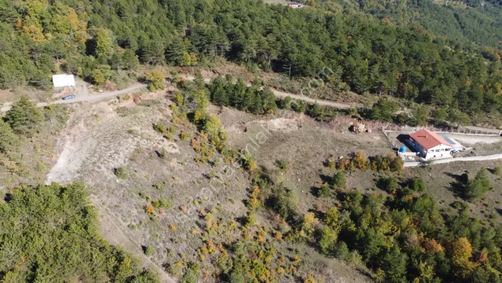 PAMUKOVA KADIKÖY MAH.8069 M2 FIRSAT ARAZİ