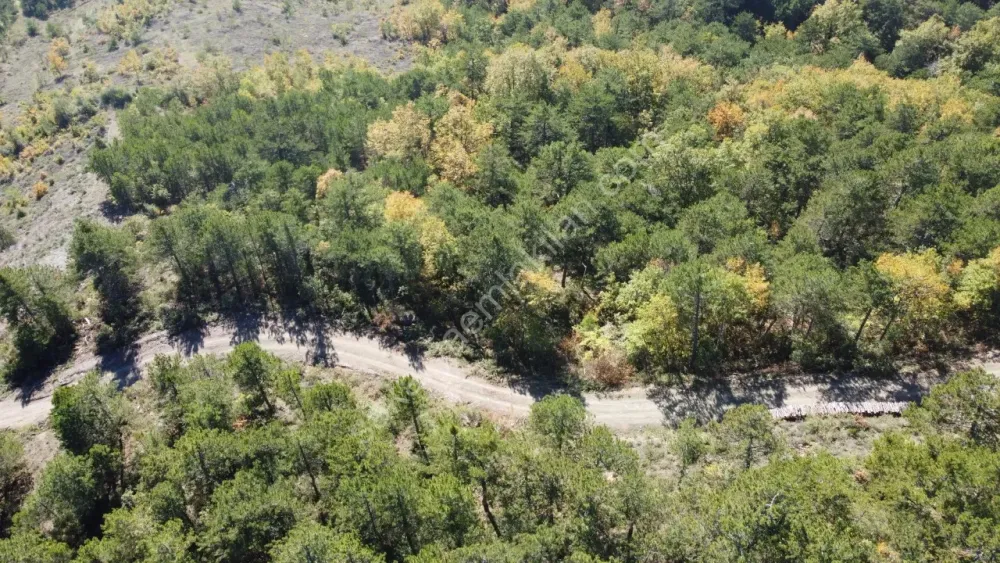 PAMUKOVA KADIKÖY MAH.8069 M2 FIRSAT ARAZİ