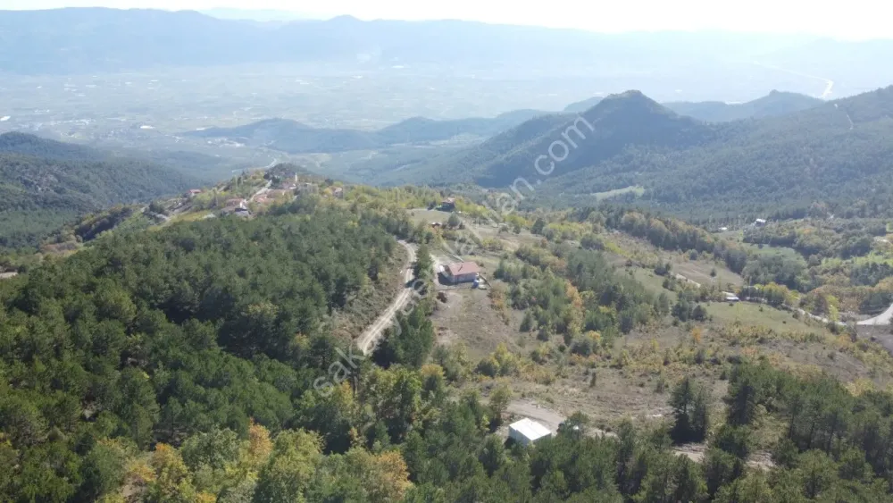 PAMUKOVA KADIKÖY MAH.8069 M2 FIRSAT ARAZİ