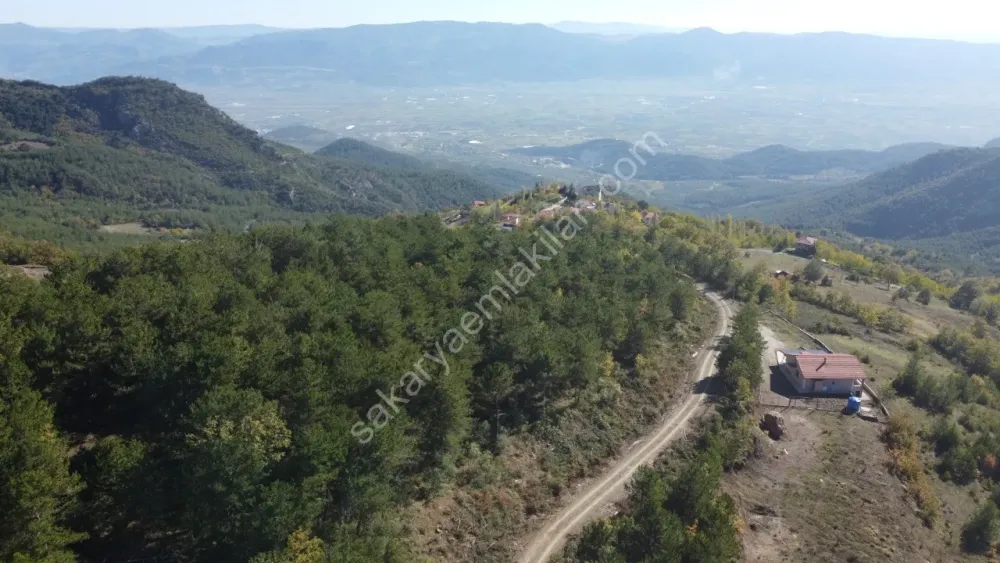 PAMUKOVA KADIKÖY MAH.8069 M2 FIRSAT ARAZİ