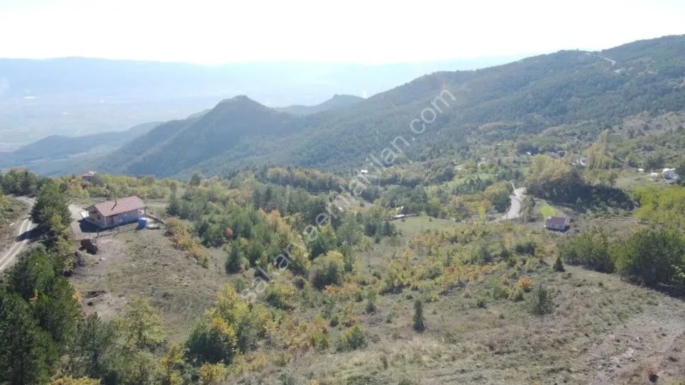 PAMUKOVA KADIKÖY MAH.8069 M2 FIRSAT ARAZİ