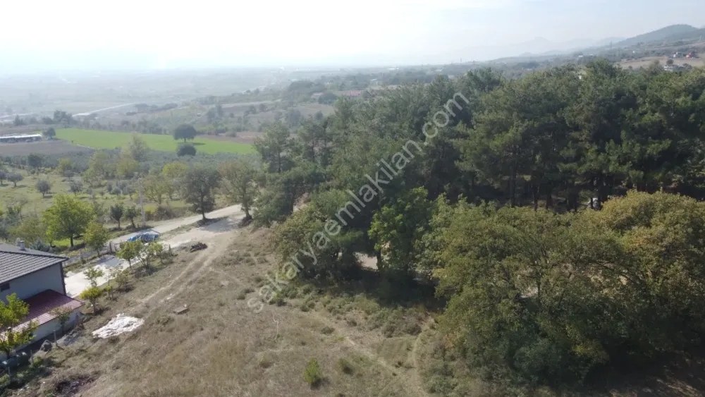 SAKARYA GEYVE DÜZAKÇAŞEHİR MAH.350 M2 KONUT İMARLI ARSA