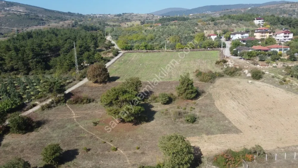 SAKARYA GEYVE DÜZAKÇAŞEHİR MAH.350 M2 KONUT İMARLI ARSA