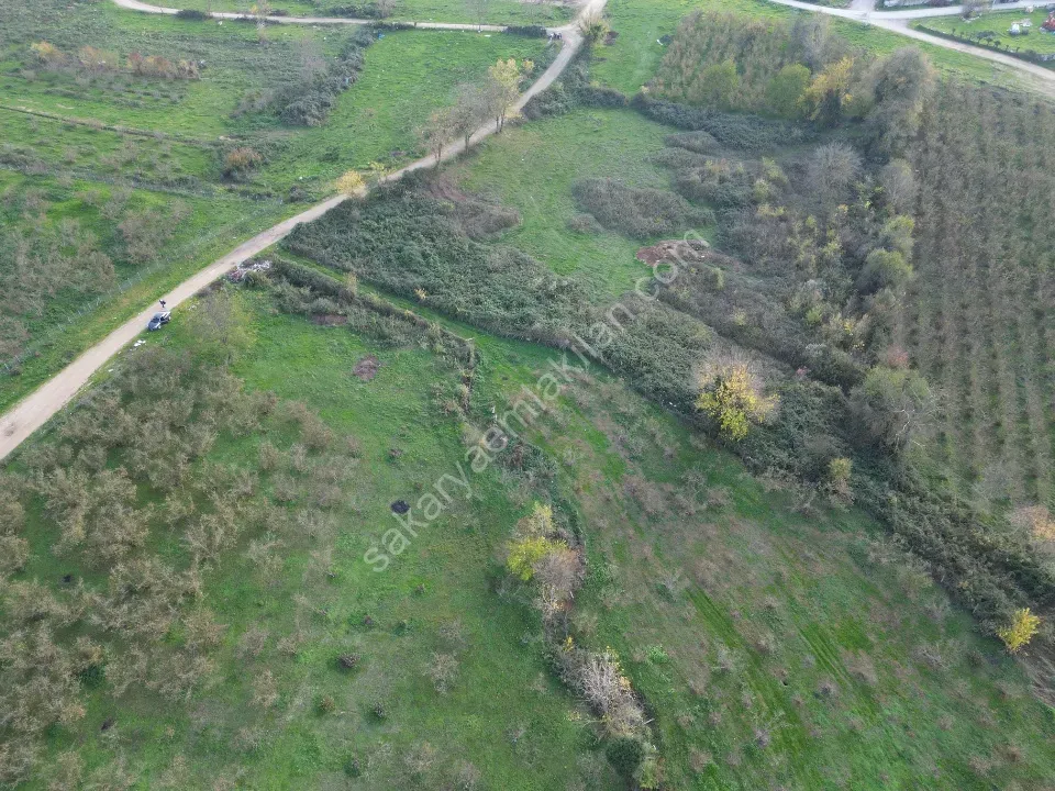 Yatırıma Uygun 670 m² Arsa – Doğa İçinde, İmarı Yeni Açılmış Bölge