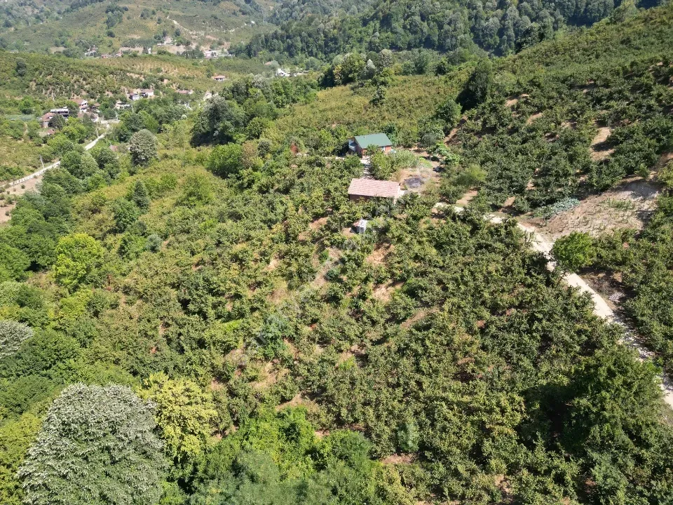 Hem Eviniz, Hem Bahçeniz Olsun Sakaryada Kaçmaz Fırsat