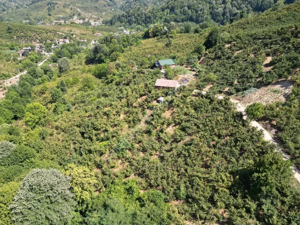 Hem Eviniz, Hem Bahçeniz Olsun Sakaryada Kaçmaz Fırsat