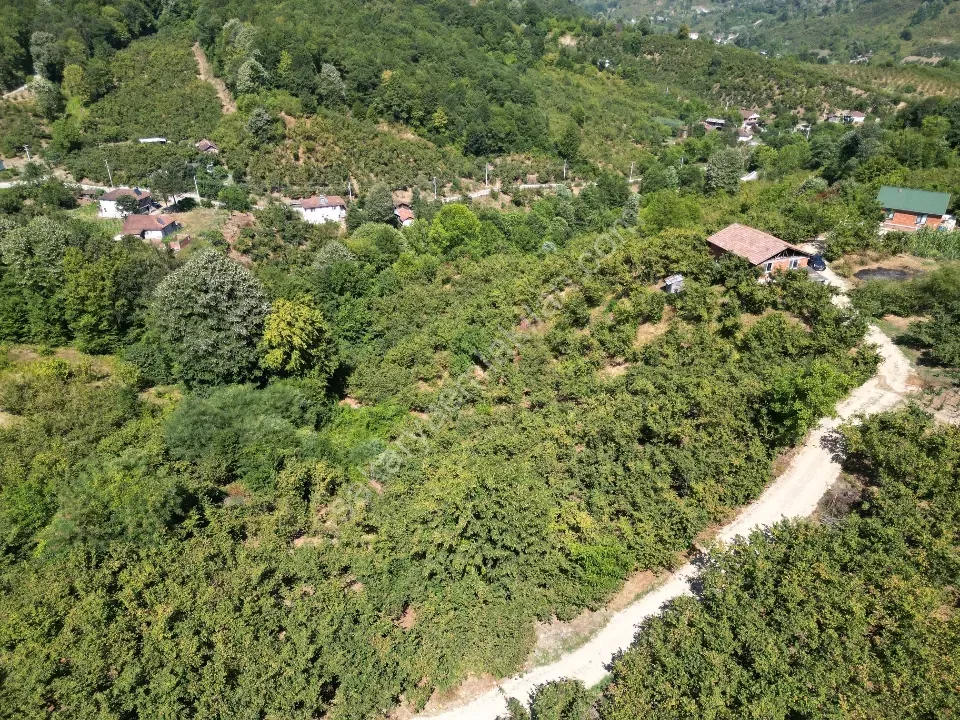 Hem Eviniz, Hem Bahçeniz Olsun Sakaryada Kaçmaz Fırsat