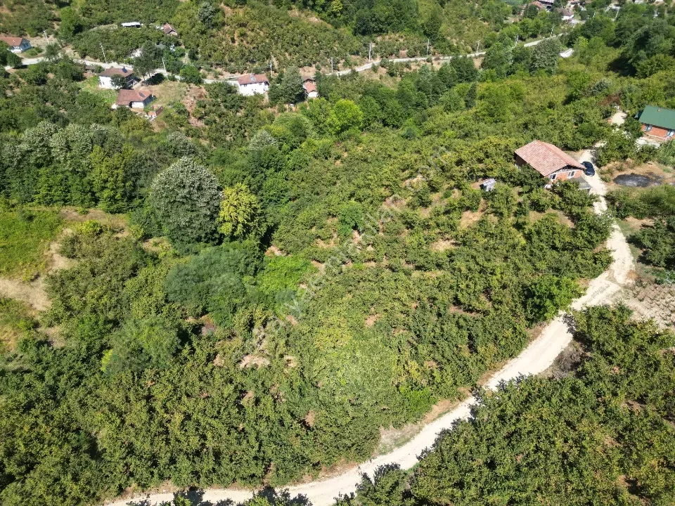 Hem Eviniz, Hem Bahçeniz Olsun Sakaryada Kaçmaz Fırsat