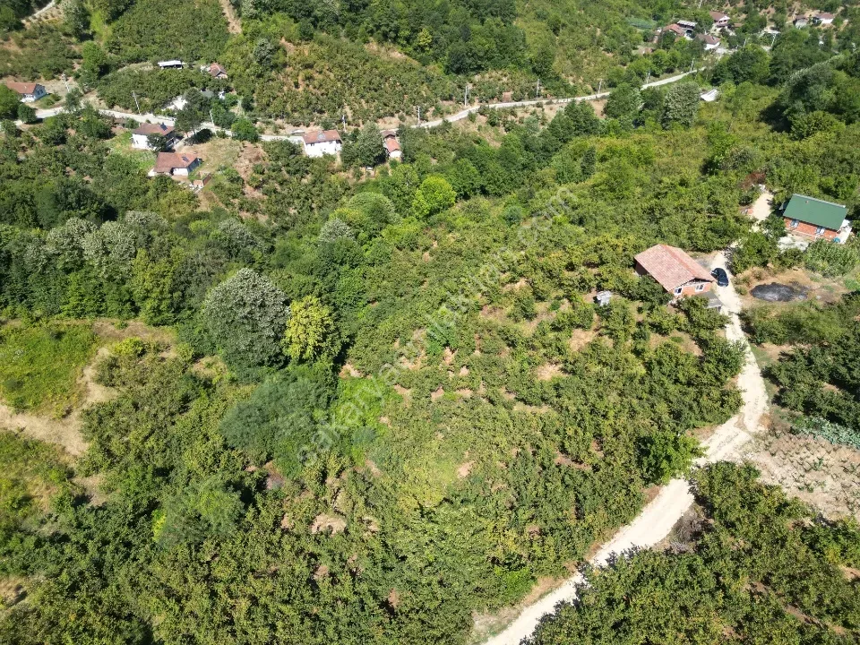 Hem Eviniz, Hem Bahçeniz Olsun Sakaryada Kaçmaz Fırsat