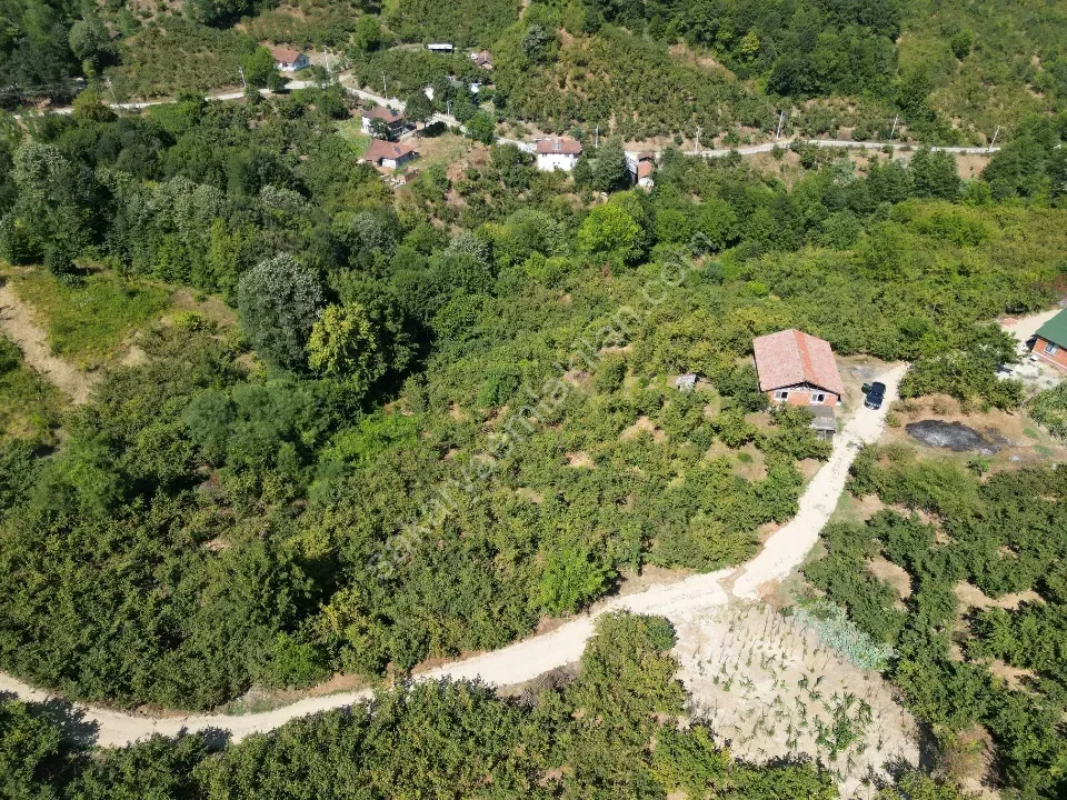 Hem Eviniz, Hem Bahçeniz Olsun Sakaryada Kaçmaz Fırsat