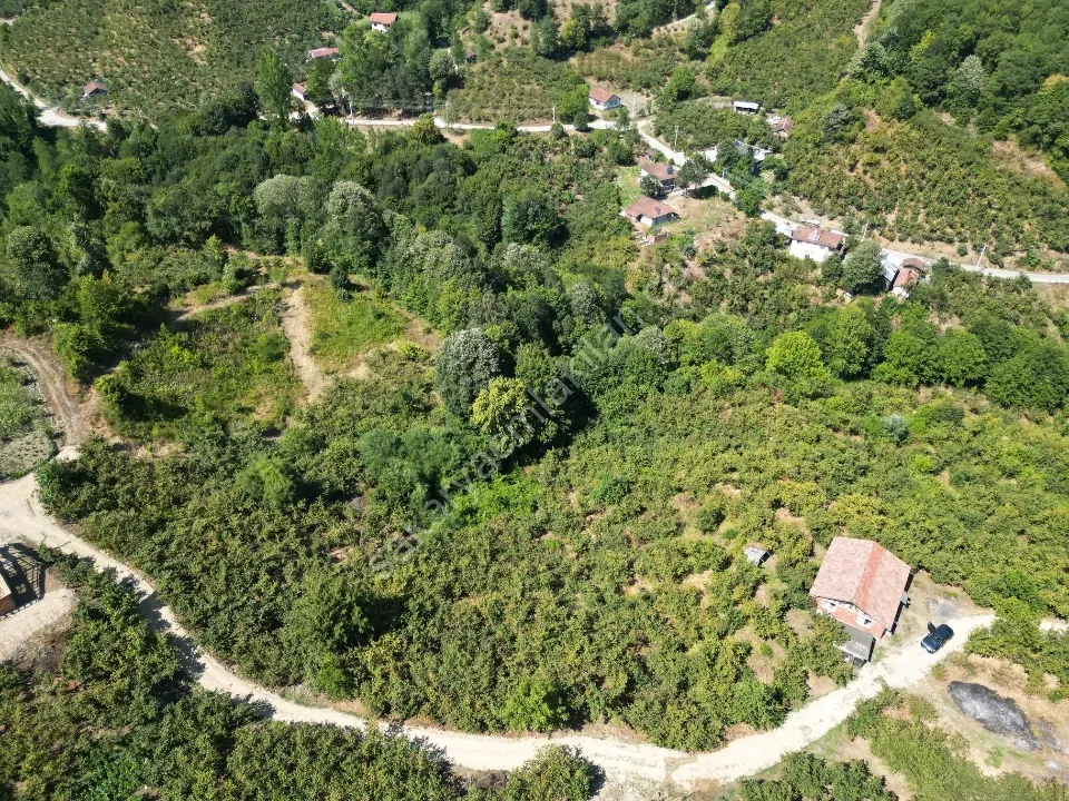 Hem Eviniz, Hem Bahçeniz Olsun Sakaryada Kaçmaz Fırsat