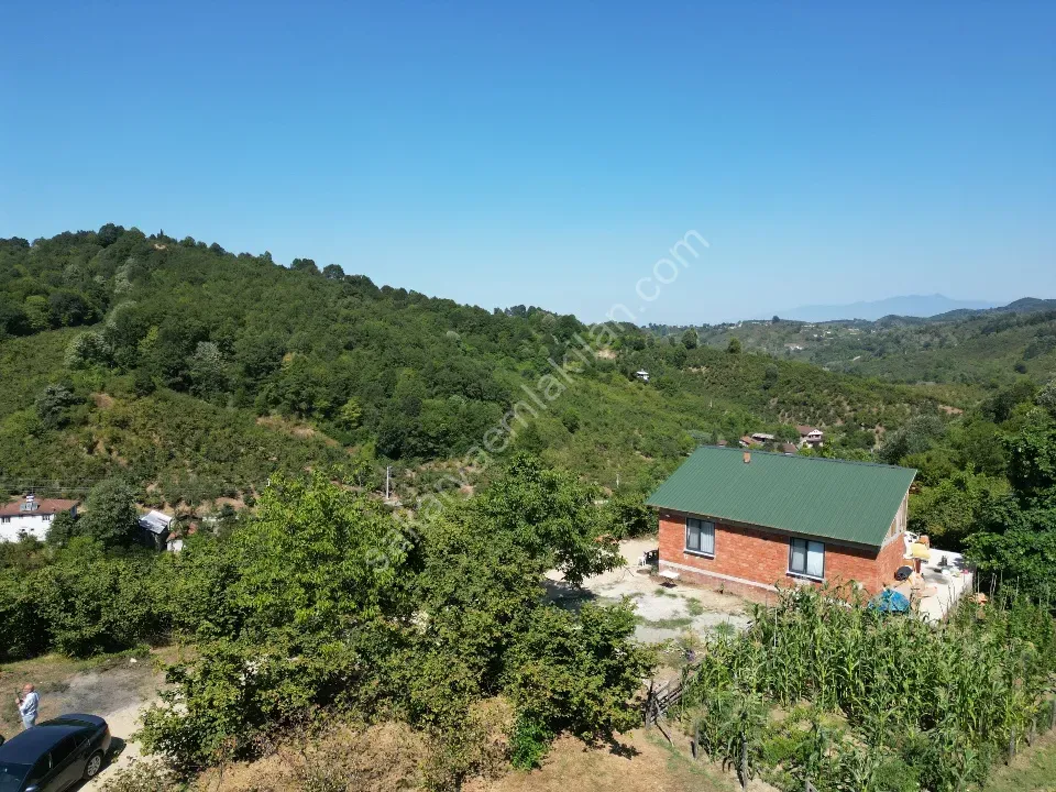 Hem Eviniz, Hem Bahçeniz Olsun Sakaryada Kaçmaz Fırsat