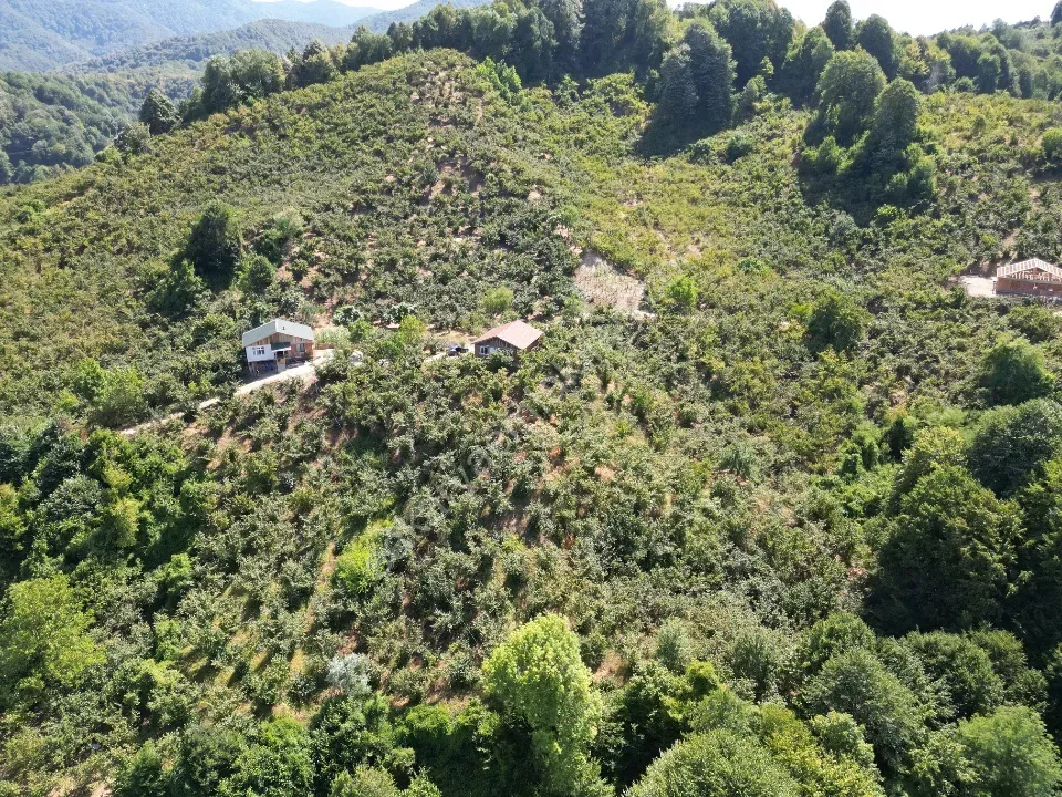 Hem Eviniz, Hem Bahçeniz Olsun Sakaryada Kaçmaz Fırsat