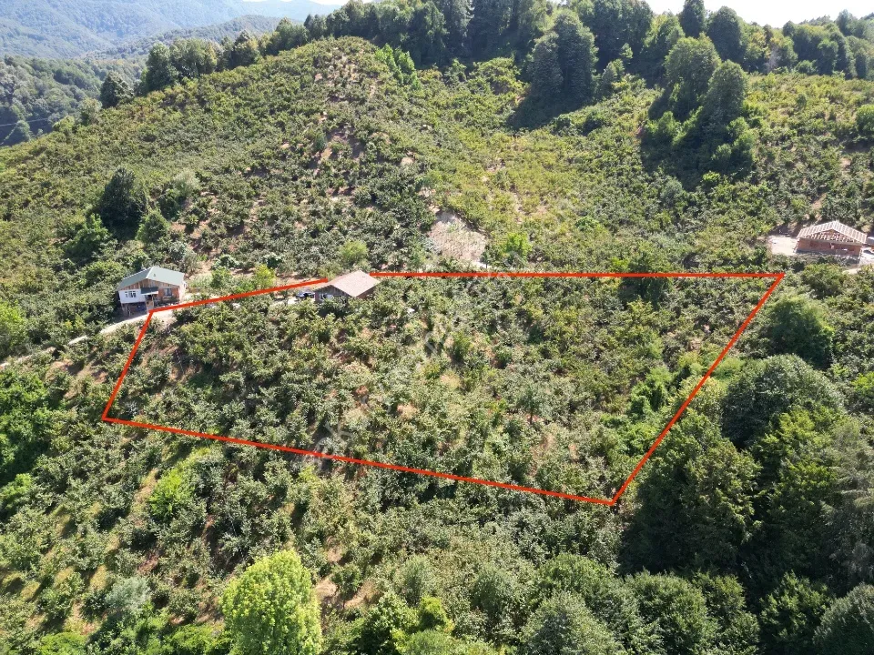 Hem Eviniz, Hem Bahçeniz Olsun Sakaryada Kaçmaz Fırsat