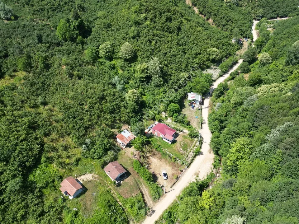 Sessizlik ve Doğa Arayanlara Özel Müstakil Yaşam Fırsatı