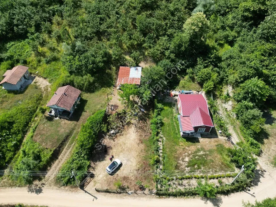 Sessizlik ve Doğa Arayanlara Özel Müstakil Yaşam Fırsatı