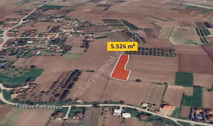 HACIKÖY'DE SATILIK FIRSAT  TARLA