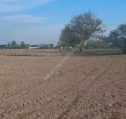 HACIKÖY'DE SATILIK FIRSAT  TARLA