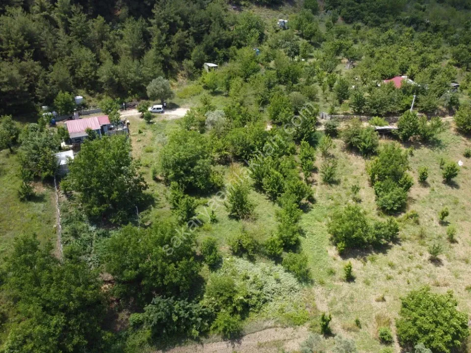 GEYVE OKUL MAH. MERKEZE YAKIN 1052 m² MANZARALI ETRAFI ÇEVRİLİ TAM HOBİ BAHÇELİK