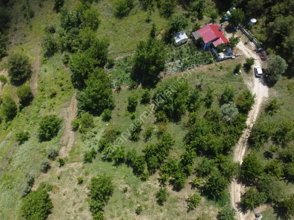 GEYVE OKUL MAH. MERKEZE YAKIN 1052 m² MANZARALI ETRAFI ÇEVRİLİ TAM HOBİ BAHÇELİK