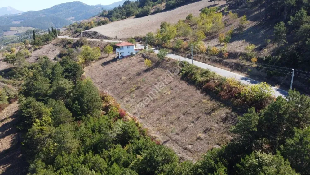 GEYVE CECELER KÖYÜNDE 508 m² ASFALTA CEPHE ELEKTRİK SU DİBİNDE HOBİ BAHÇESİ