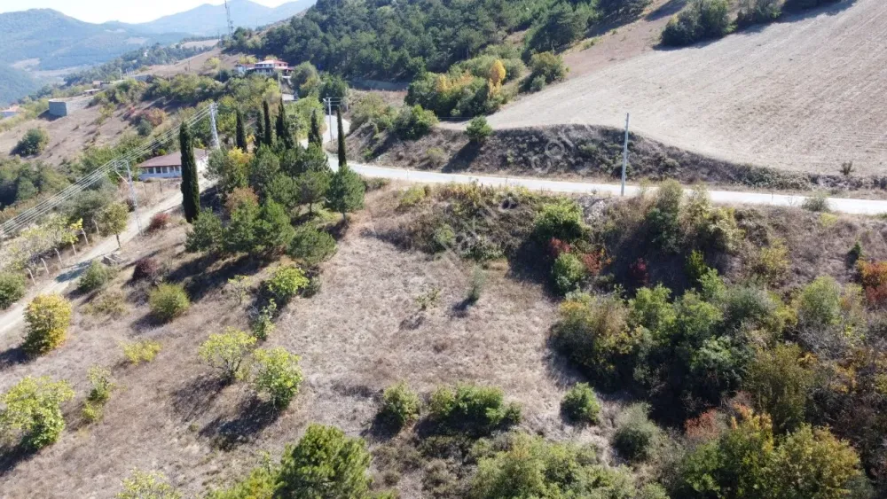 GEYVE CECELER KÖYÜNDE 508 m² ASFALTA CEPHE ELEKTRİK SU DİBİNDE HOBİ BAHÇESİ