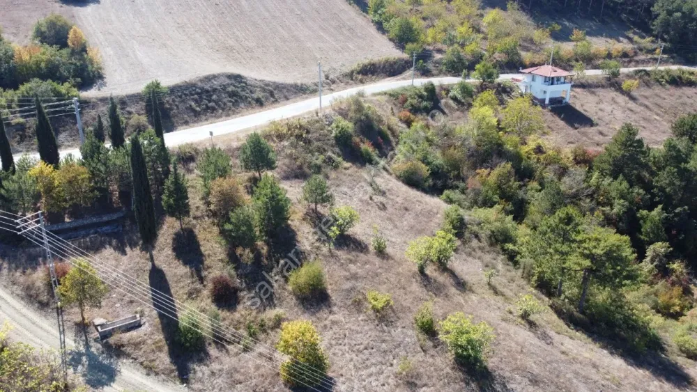 GEYVE CECELER KÖYÜNDE 508 m² ASFALTA CEPHE ELEKTRİK SU DİBİNDE HOBİ BAHÇESİ