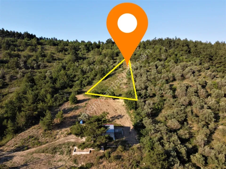 GEYVE KÖPRÜBAŞI MAHALLESİNDE 1127 m² MANZARALI TİNY HOUSE VE PREFABRİK İÇİN KONUMDA