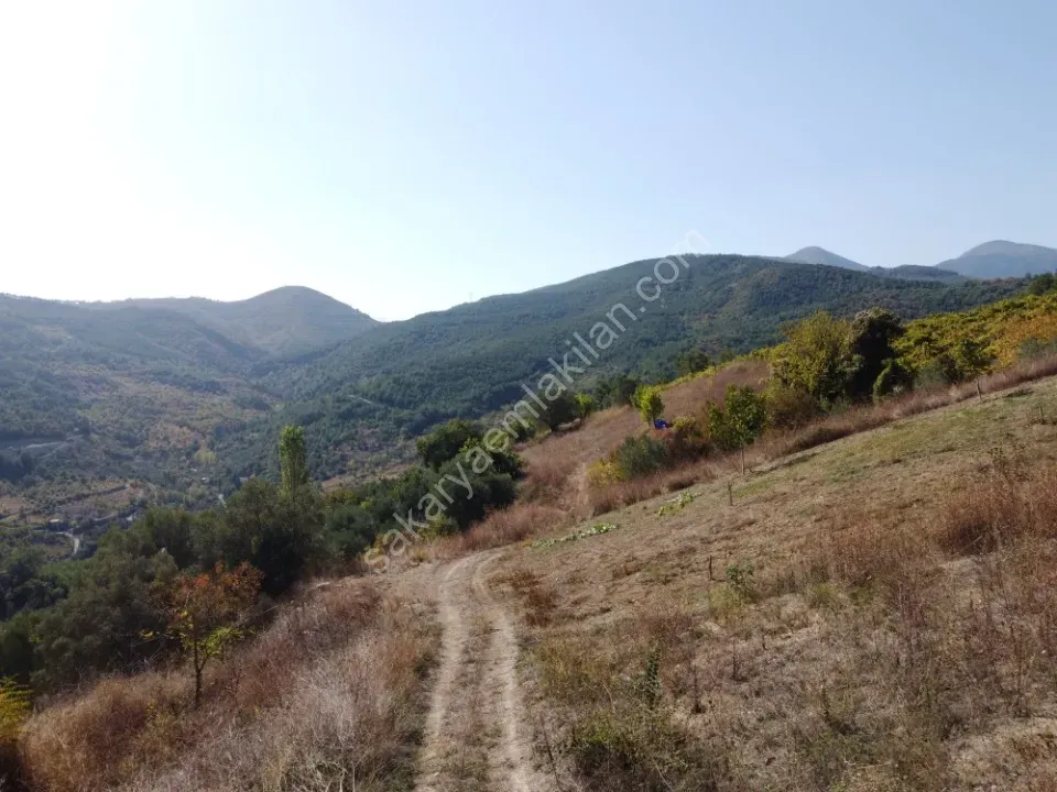 GEYVE ALİFUATPAŞA MERKEZE 3 KM KONTEYNER İÇİN İDEAL 153 m² MANZARALI YOLU SUYU VAR