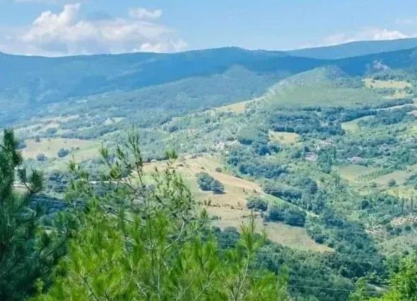 GEYVE AKINCI DEREKÖY’DE 1114 m² YOLA CEPHELİ HOBİ BAHÇELİK FIRSAT ARAZİ