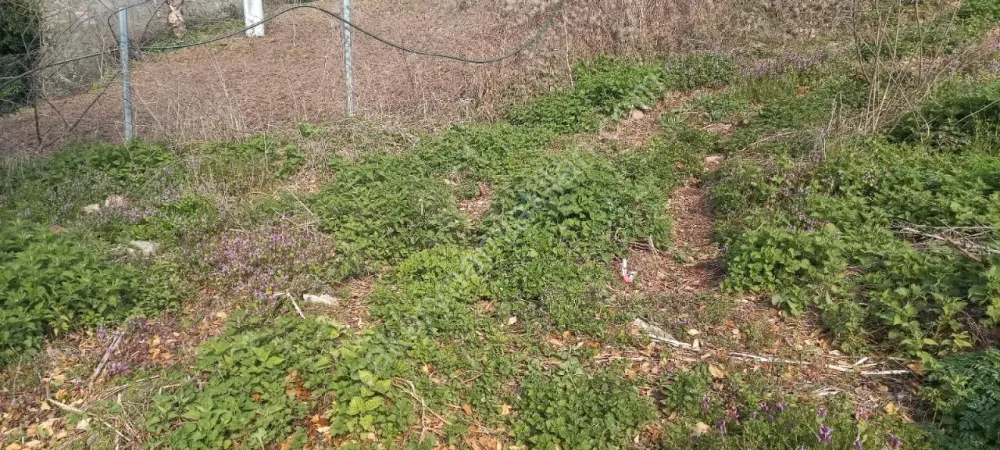 GEYVE AKINCI KÖYÜNDE 451 m² % 40 - 2 KAT KONUT İMARLI MANZARALI FIRSAT ARSA