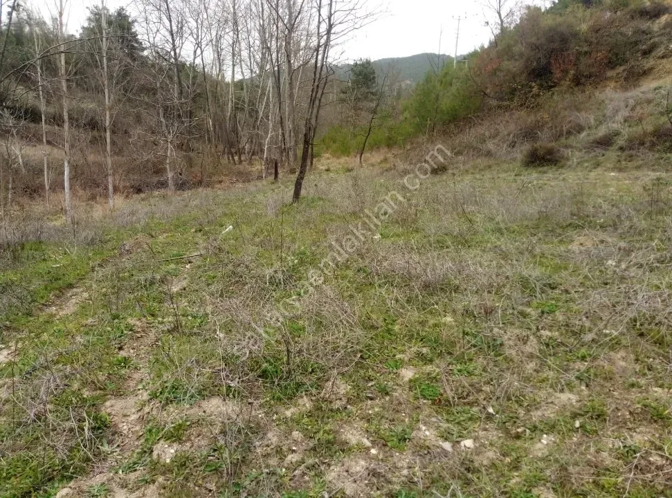 GEYVE ÇAMLIK KÖYÜNDE TAM YATIRIMLIK YOLA CEPHE 1056 m² FIRSAT HOBİ BAHÇESİ