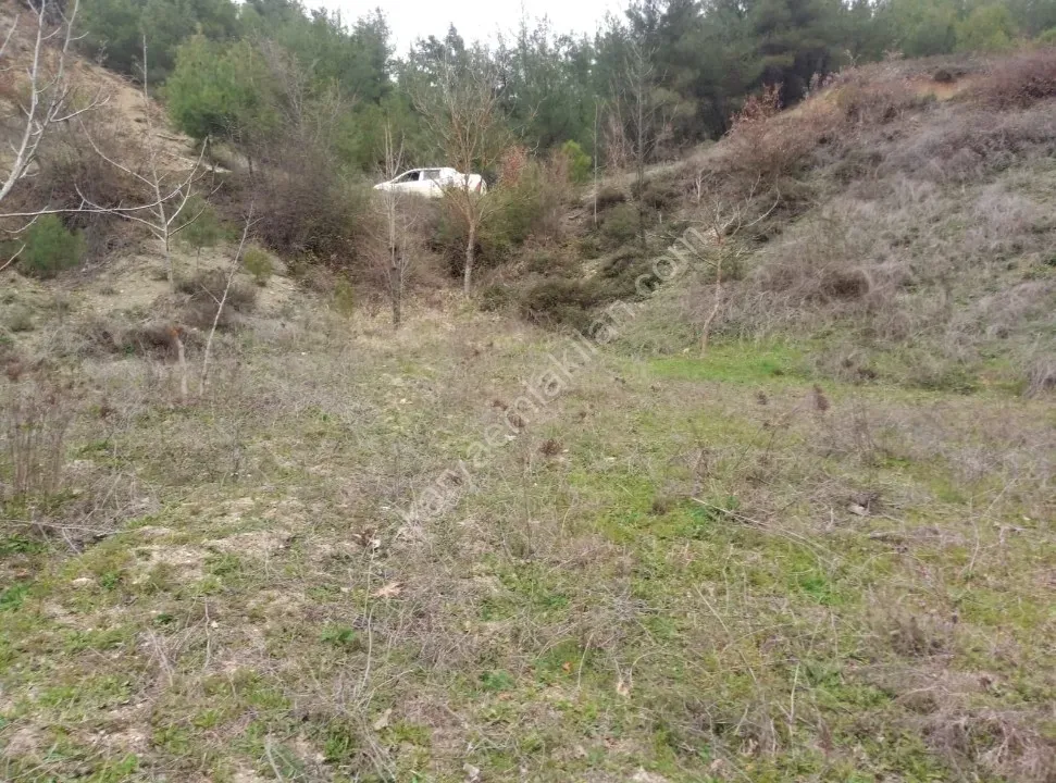 GEYVE ÇAMLIK KÖYÜNDE TAM YATIRIMLIK YOLA CEPHE 1056 m² FIRSAT HOBİ BAHÇESİ