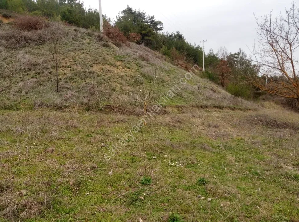 GEYVE ÇAMLIK KÖYÜNDE TAM YATIRIMLIK YOLA CEPHE 1056 m² FIRSAT HOBİ BAHÇESİ