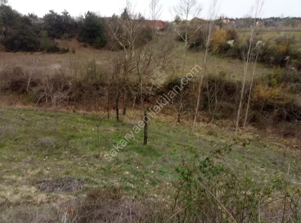 GEYVE ÇAMLIK KÖYÜNDE TAM YATIRIMLIK YOLA CEPHE 1056 m² FIRSAT HOBİ BAHÇESİ