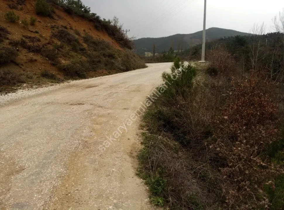 GEYVE ÇAMLIK KÖYÜNDE TAM YATIRIMLIK YOLA CEPHE 1056 m² FIRSAT HOBİ BAHÇESİ