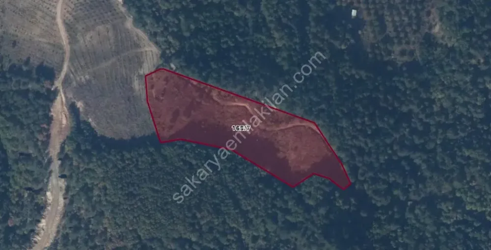 GEYVE AHİBABA KÖYÜNDE 10782 m² ARAÇ TAKASLI, EMSALLERİNE GÖRE HESAPLI FIRTSAT ARAZİ