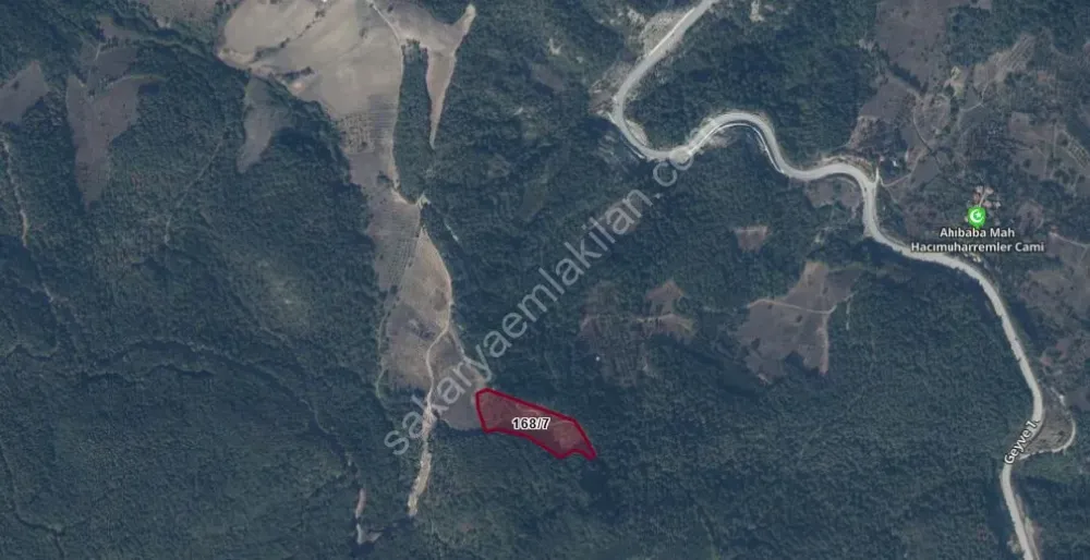 GEYVE AHİBABA KÖYÜNDE 10782 m² ARAÇ TAKASLI, EMSALLERİNE GÖRE HESAPLI FIRTSAT ARAZİ