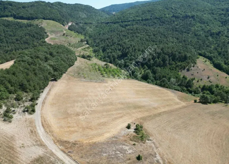 GEYVE AHİBABA KÖYÜNDE 10782 m² ARAÇ TAKASLI, EMSALLERİNE GÖRE HESAPLI FIRTSAT ARAZİ