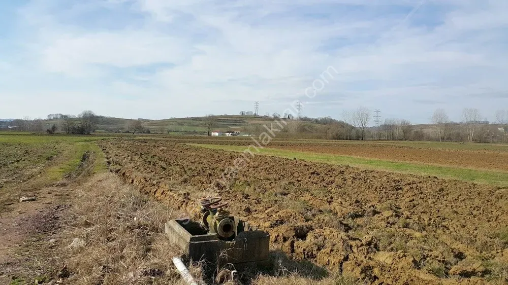 ADAPAZARI ÖRENTEPE MAHALLESİNDE SATILIK 891 M2 TARLA