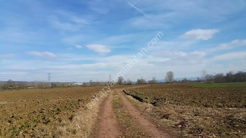 ADAPAZARI ÖRENTEPE MAHALLESİNDE SATILIK 891 M2 TARLA