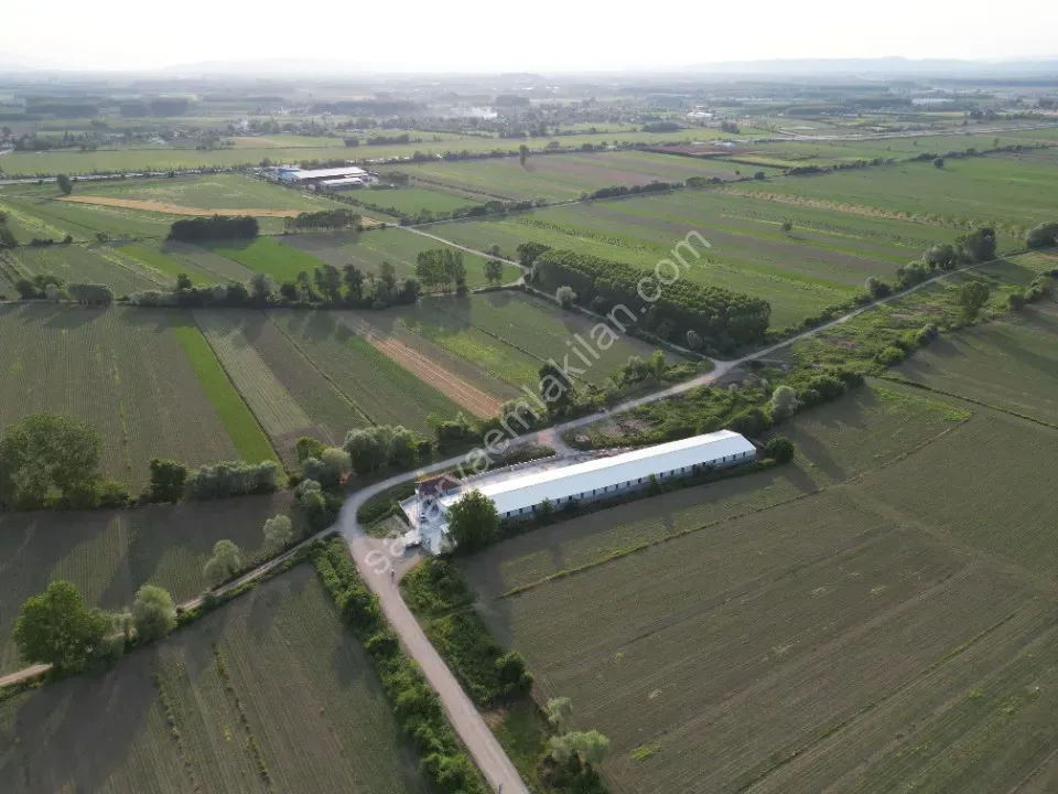 ESKİBEDİL / AKYAZI ÜRETİM TESİSİ KİRALIK 1.600 m2 ÇEVRE YOLUNA 800mt MESAFEDE