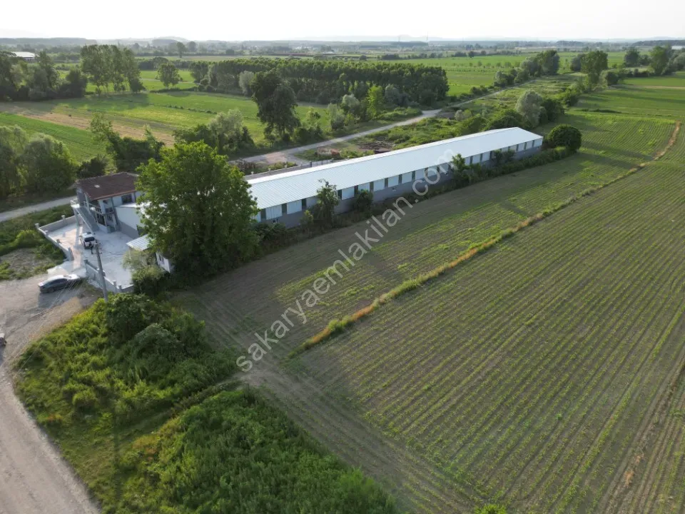 ESKİBEDİL / AKYAZI ÜRETİM TESİSİ KİRALIK 1.600 m2 ÇEVRE YOLUNA 800mt MESAFEDE