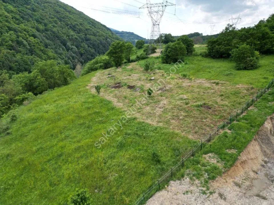 SÜLÜKLÜGÖL YOLUNDA 5.930 m2 TARLA SATILIK DOKURCUN / MUDURNU / BOLU