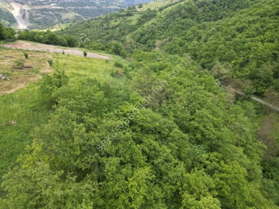 SÜLÜKLÜGÖL YOLUNDA 5.930 m2 TARLA SATILIK DOKURCUN / MUDURNU / BOLU