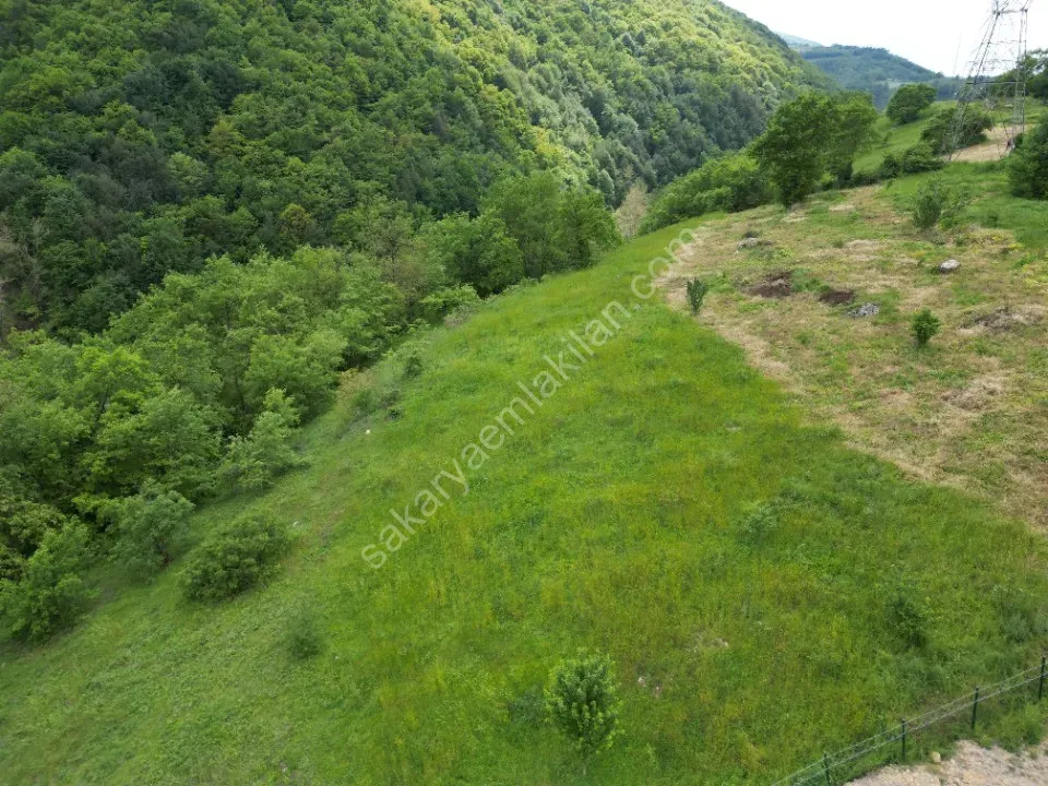 SÜLÜKLÜGÖL YOLUNDA 5.930 m2 TARLA SATILIK DOKURCUN / MUDURNU / BOLU