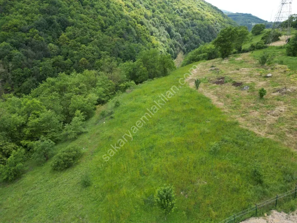 SÜLÜKLÜGÖL YOLUNDA 5.930 m2 TARLA SATILIK DOKURCUN / MUDURNU / BOLU