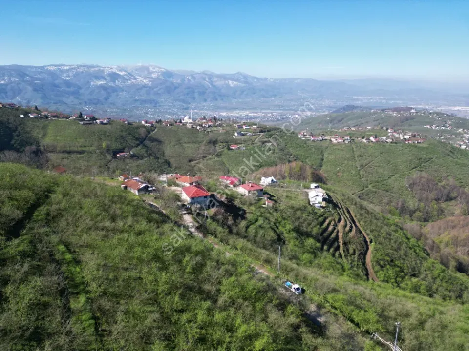 AKYAZI / M.YENİKÖY'DE SATILIK BAHÇE 2.518 m2