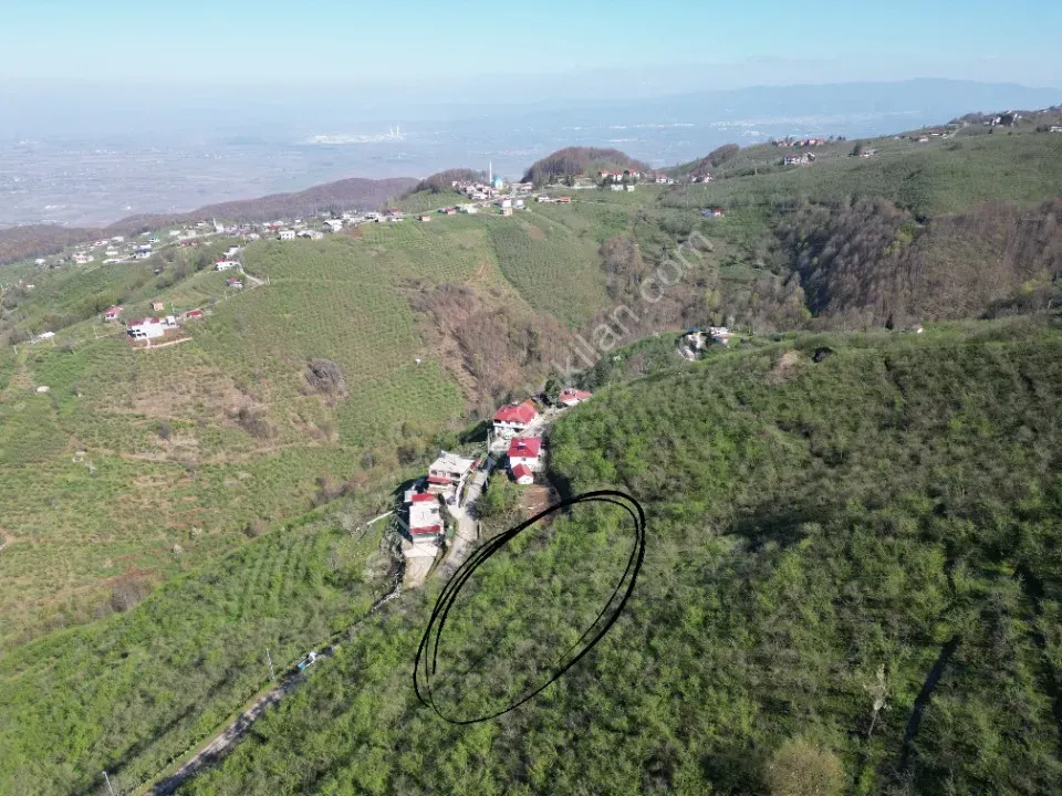 AKYAZI / M.YENİKÖY'DE SATILIK BAHÇE 2.518 m2